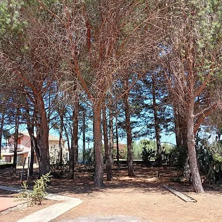 Gioia Holiday home Castellammare del Golfo