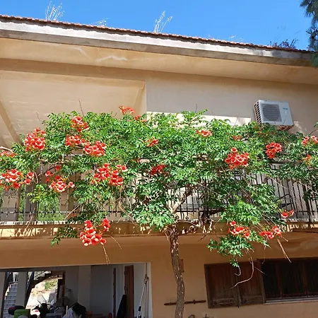 Gioia